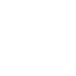 No_Vox | Litfibaunofficial.it